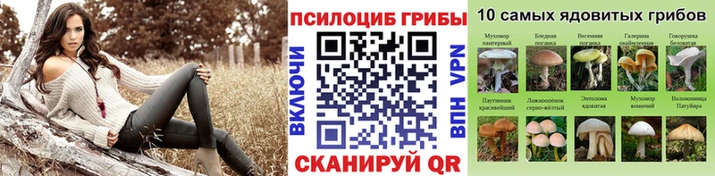 мега вход  Ужур  Псилоцибиновые грибы мухоморы 